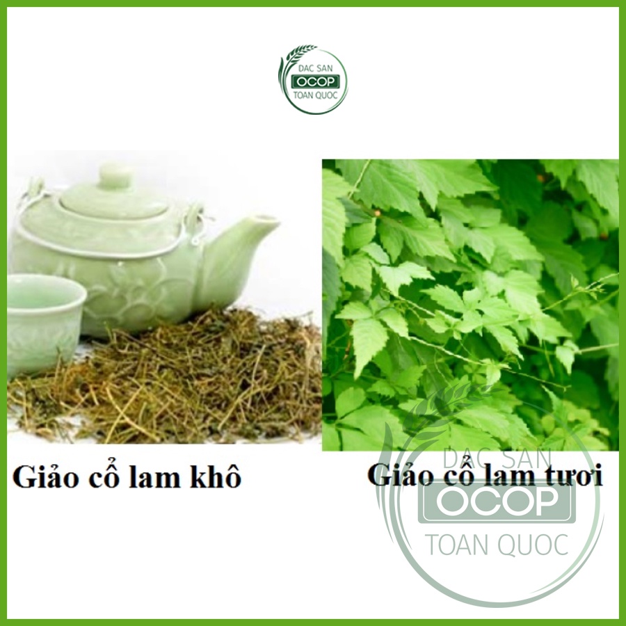 Trà Giảo cổ lam túi lọc | Giảo cổ lam Bắc Kạn | Hộp 100g | Đặc sản OCOP