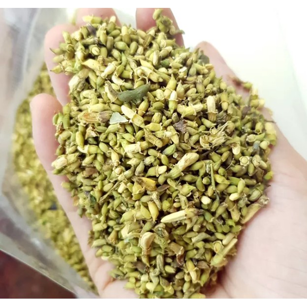 500g Trà nụ hoa hoè khô giàu Vit. P, làm bền mạch máu