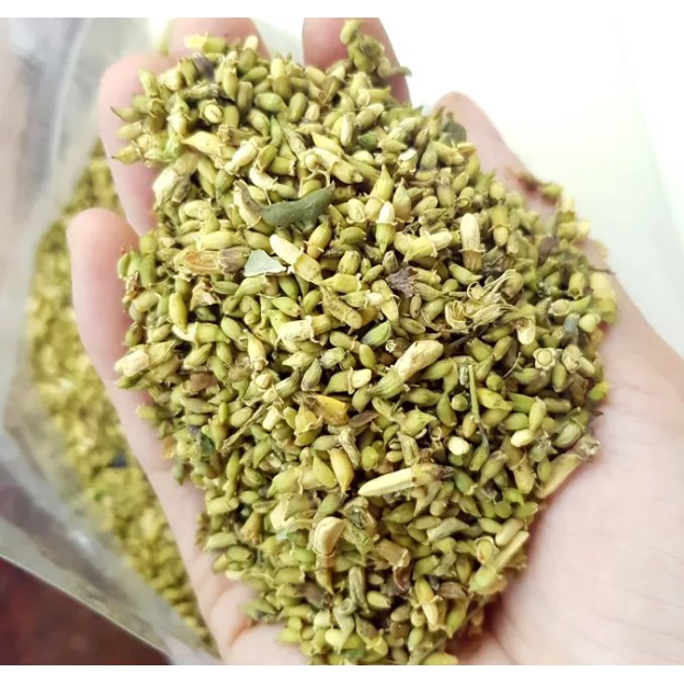 500g Trà nụ hoa hoè khô - giàu Vit. P, làm bền mạch máu