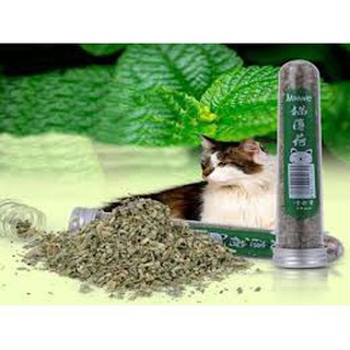 CATNIP cho mèo
