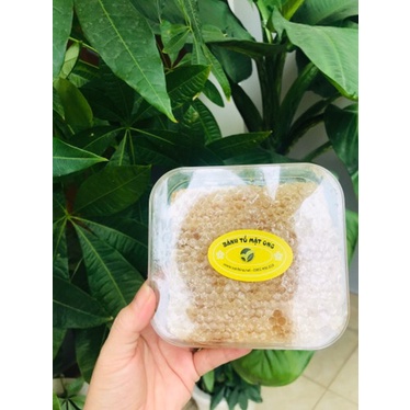 Mật ong bánh tổ rừng Vanbina 300g - keo ong nguyên chất