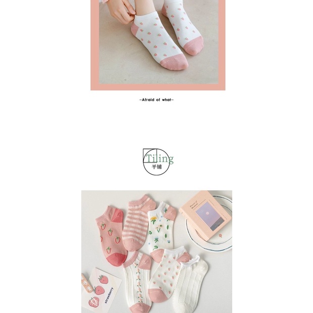 Tất cotton thời trang xuân hè dành cho nữ