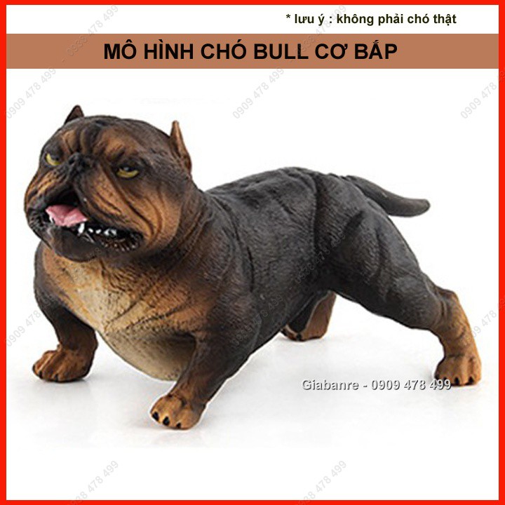 Mô Hình Chó Bull Mặt Xệ Cơ Bắp Giang Hồ - 4680