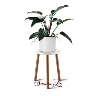 Đôn Gỗ Kệ Giá Tròn Nhỏ Đỡ Chậu Hoa Cây, Chân Lắp Ráp, Mặt Bàn Khoét Rãnh Bàn Kê Đầu Giường (Không bao gồm chậu) 40 x 30c