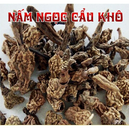 Nấm ngọc cẩu khô DV068