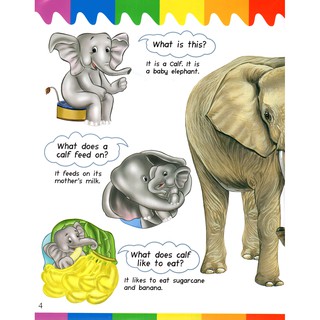 My First Questions & Answers - Baby Animals