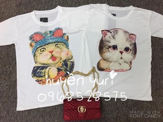 Phông hình cute
