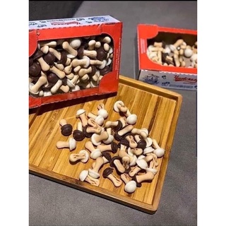 Bánh quy nấm nga socola hộp