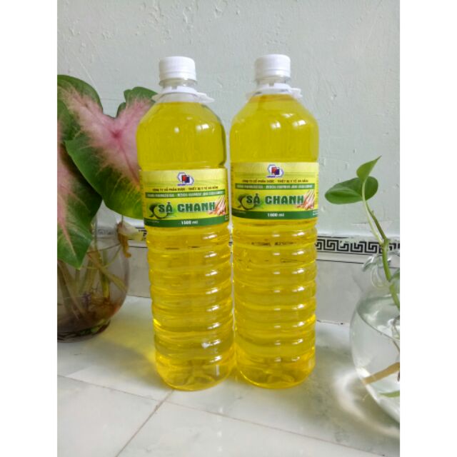 Nước lau sàn Y tế Tinh dầu Sả Chanh, Sả Quế 1,5 lít Đuổi muỗi, Khử trùng, Diệt khuẩn, Khử mùi (lau sàn, xịt)
