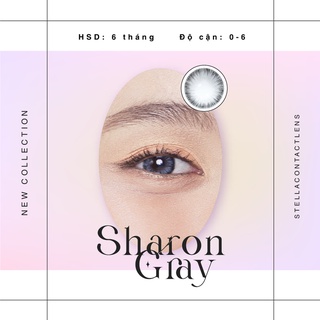 Kính áp tròng - Sharon Brown - Gray