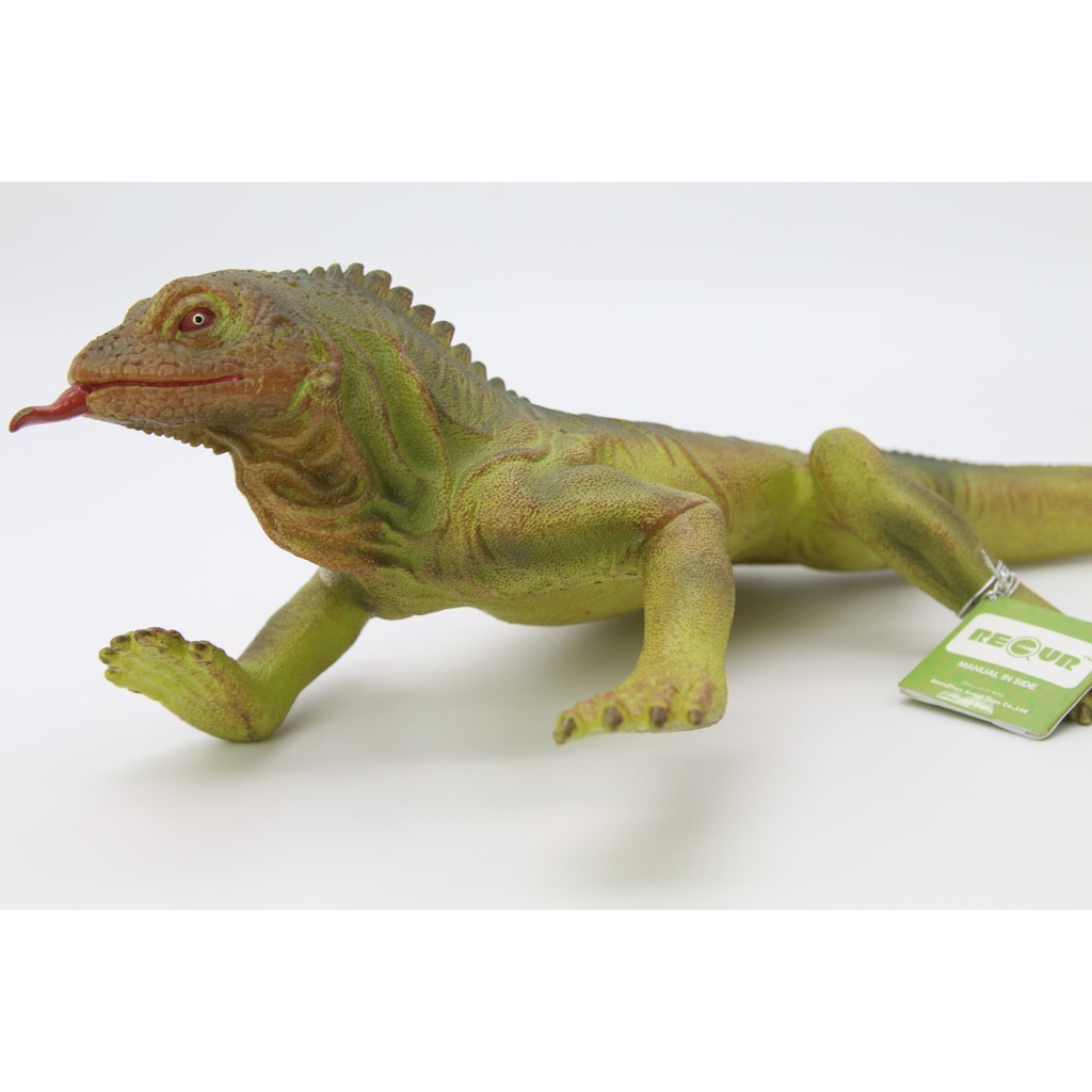 Đồ chơi mô hình động vật cho bé Recur DW330 - hình thằn lằn Iguana - TOYS HOUSE