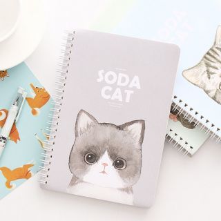 Sổ ghi chép 100 trang