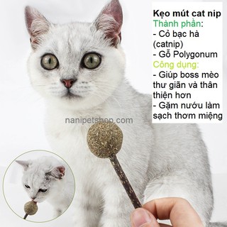 🐱 Đồ chơi kẹo mút que catnip cho mèo - Cỏ bạc hà liếm là mê, phần thưởng mà boss mèo thích nhất - Nà Ní Pet Shop