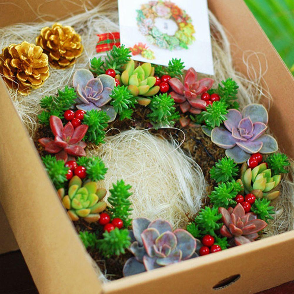 GOGOUP Giá Đỡ Chậu Hoa Treo Trong Nhà Phong Cách Retro