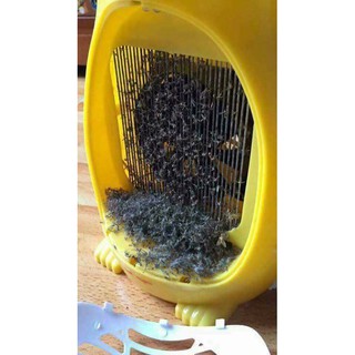 ĐÈN BẮT MUỖI