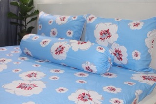 Bộ drap cotton 100%