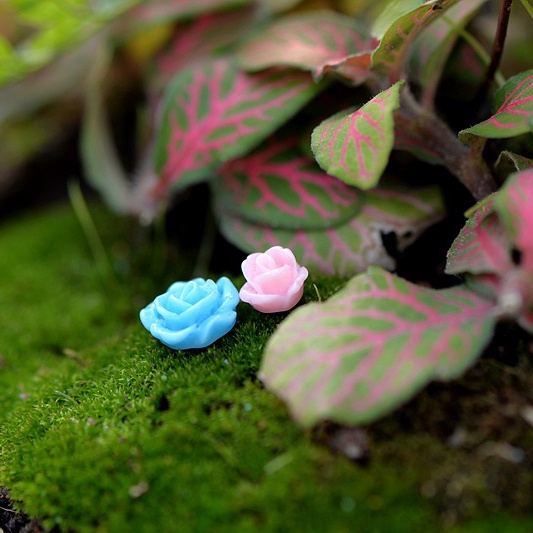 Phụ kiện - Set 5 hoa nhựa nhiều màu trang trí tiểu cảnh terrarium, cây cảnh, mô hình, làm đồ handmade