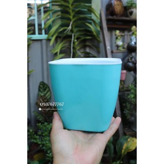 chậu trồng thông minh 2 lớp