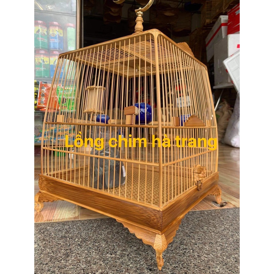 Lồng thái tre già