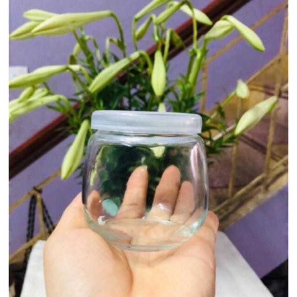 HŨ THỦY TINH CÓ NẮP LÀM SỮA CHUA 200ML, 100ML