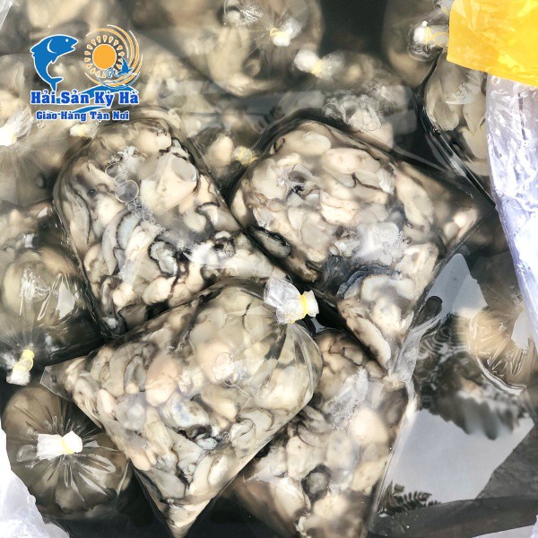 1Kg Giá Sỉ Ruột Hàu Sữa - Giá Sỉ Rẻ Nhất