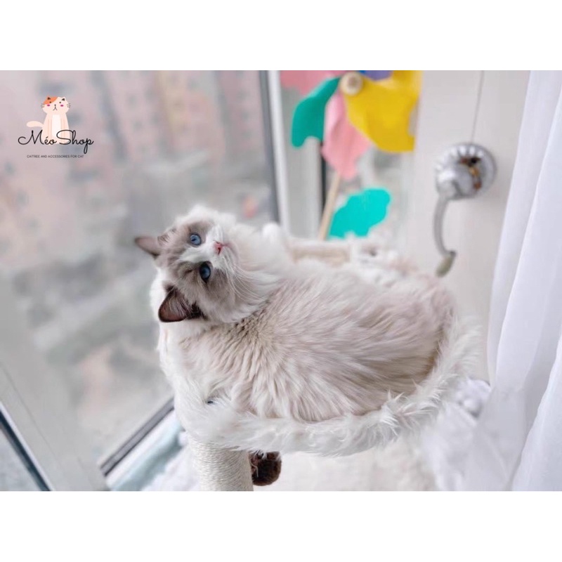 Nhà Cây Võng Siêu Chill Cho Boss 😻tặng kèm súp thưởng