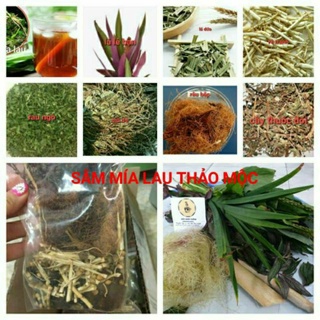 Sâm mía lau thảo mộc khô