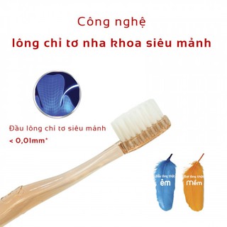 Bàn chải Lipzo Crystal Kids