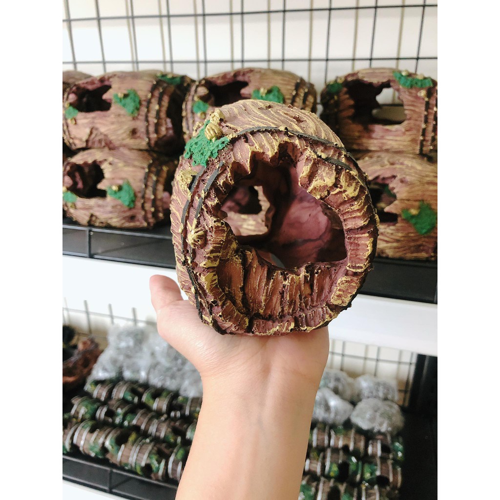 Thùng gỗ trang trí bể cá, thuỷ sinh, bò sát, tarantula