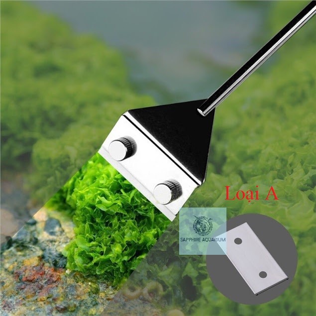 Lưỡi dao cạo rêu