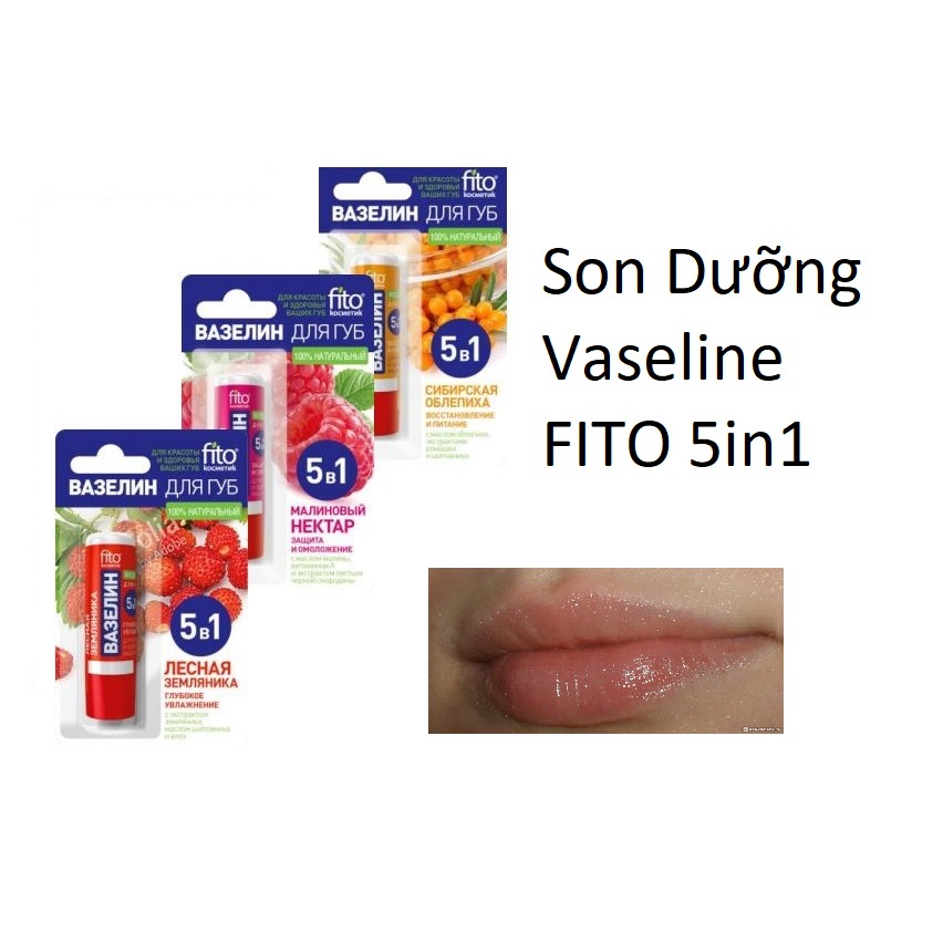 Son Dưỡng Môi Vaseline Thảo Mộc