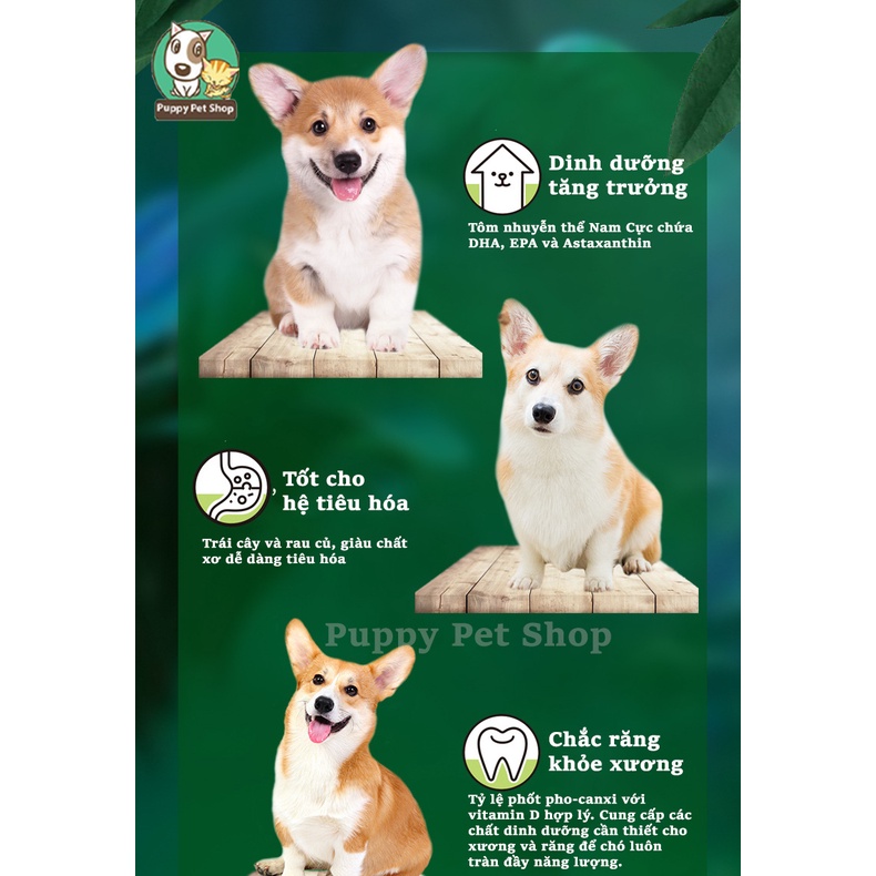 Thức ăn Kitchen Flavor cho chó con Small Breed Puppy - Vị Tôm Nam Cực và rau củ quả