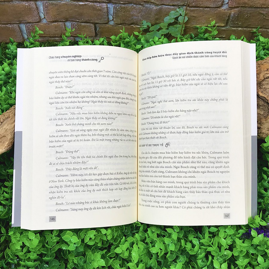 Sách - Chào Hàng Chuyên Nghiệp Để Bán Hàng Thành Công | BigBuy360 - bigbuy360.vn