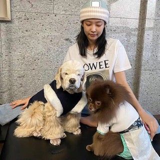 Áo Thun Tay Ngắn Dáng Rộng In Hình Nhóm Nhạc Blackpink jennie