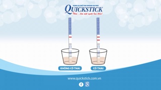 Que thử thai Quickstick USA