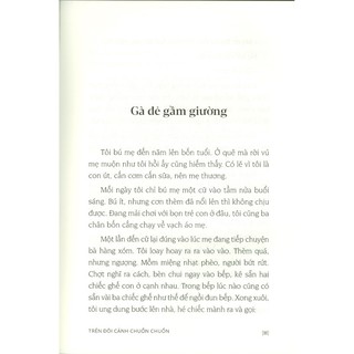 Sách - Trên Đôi Cánh Chuồn Chuồn