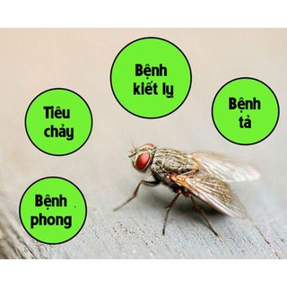 Bả đặc trị ruồi KING FLY BAIT