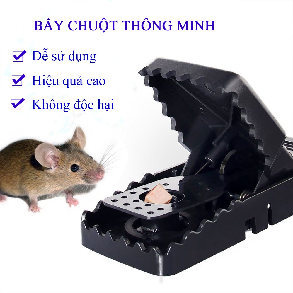 Bẫy chuột thông minh, dễ sử dụng, hiệu quả cao, không độc hại