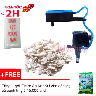 Máy lọc nước hồ cá RS 9800 2100L/H loại tốt, tiết kiệm điện + Bông lọc bể cá + 200gr san hô đẹp tặng 1 Shanghai FOOD