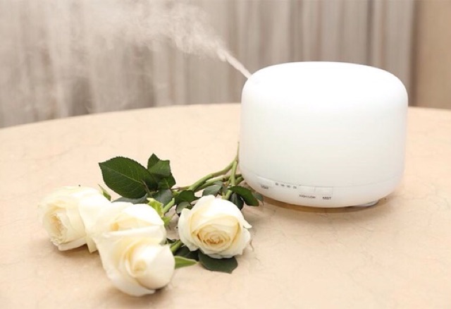 MÁY KHUYẾCH TÁN PHUN SƯƠNG TRỤ TRẮNG 500ml