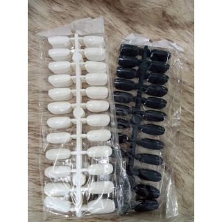 Móng vẽ mẫu tròn và nhọn