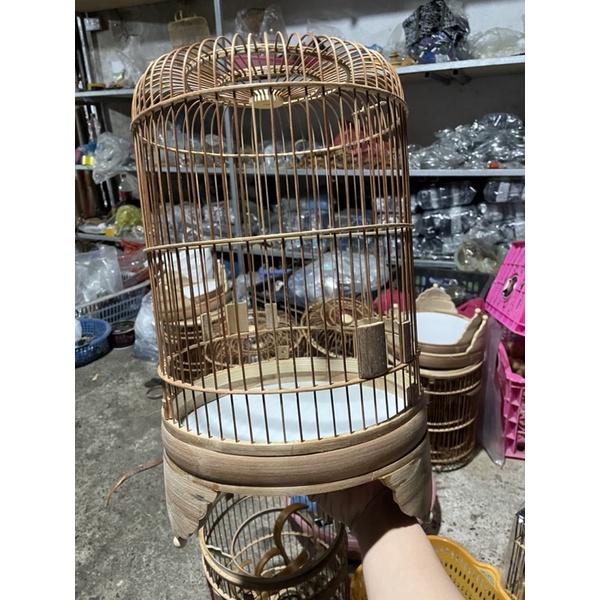 Lồng Chim Khuyên , Tiểu Mi Nan Trúc Cật Đẹp Siêu Rẻ