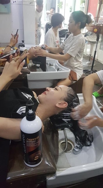 BERDYWINS DẦU GỘI XẢ PHỤC HỒI BERDYWINS ARGANOIL 500ML CHÍNH HÃNG