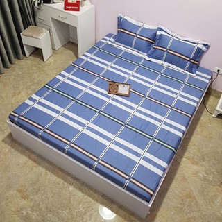 [Ga chống thấm cotton hàn quốc]Ga chống thấm cotton cao cấp,đủ kích thước,mẫu kẻ xanh