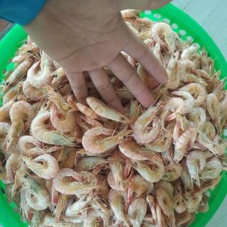 Tôm khô nhà làm  Bạc Liêu ( tôm sú, tôm đất)