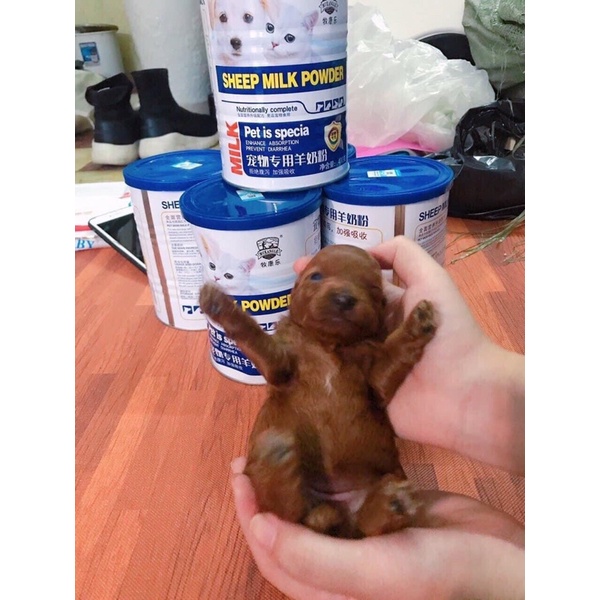 Sữa dê SHEEP MILK POWDER hãng MUKANGLE