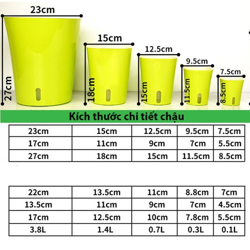 Chậu cây tự động tưới nước tiện lợi chuyên dùng cho văn phòng, nhà hàng, khách sạn