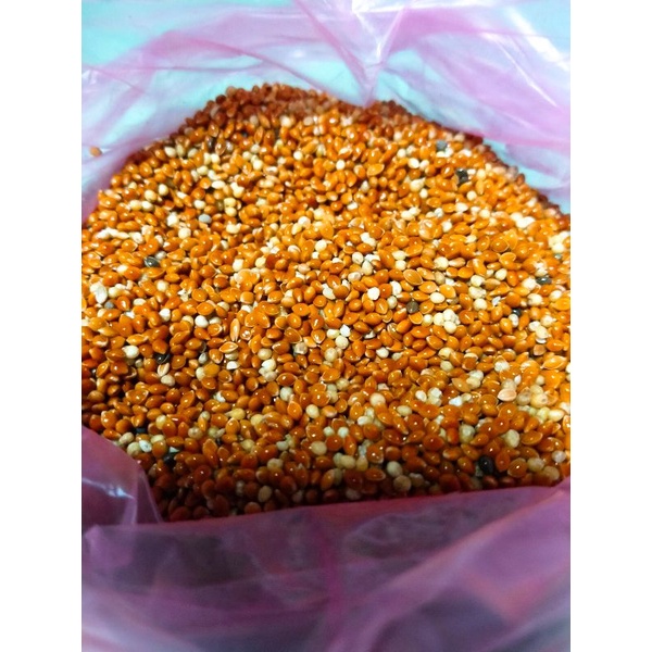 Hạt kê bóng đỏ 1kg cho hamster, vẹt, yến phụng