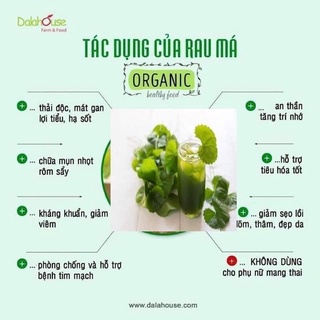 Bột rau má 50g - 100g - 150g