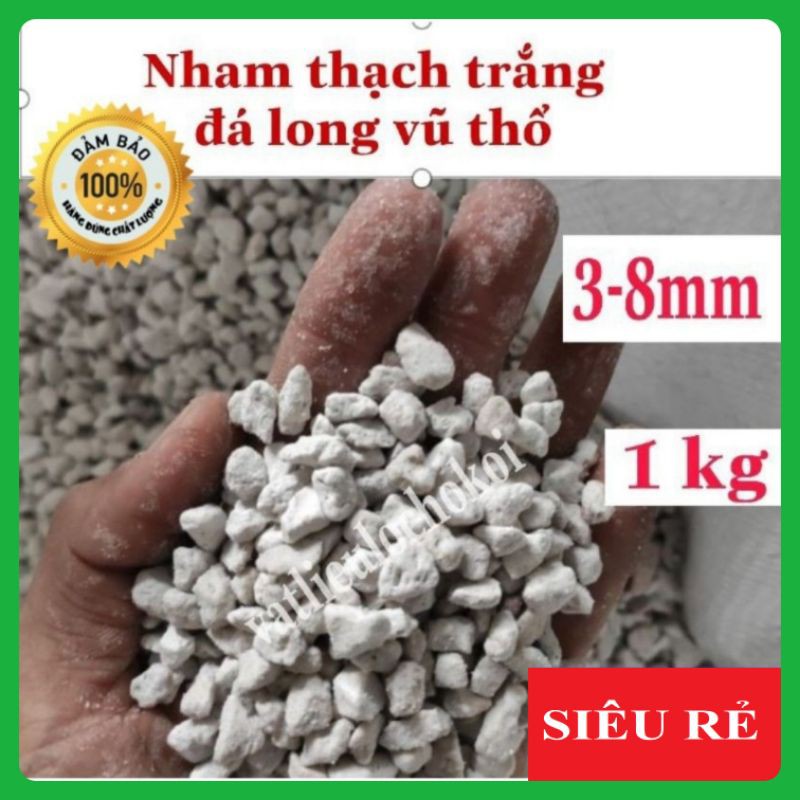 Nham thạch trắng pumice turkey 3-8mm 1kg - vật liệu lọc